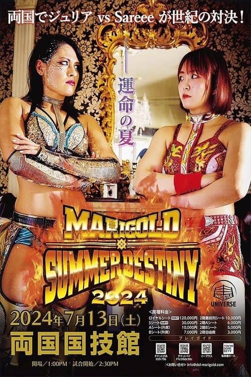 Marigold Summer Destiny 2024