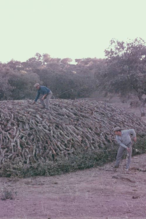 Encinares