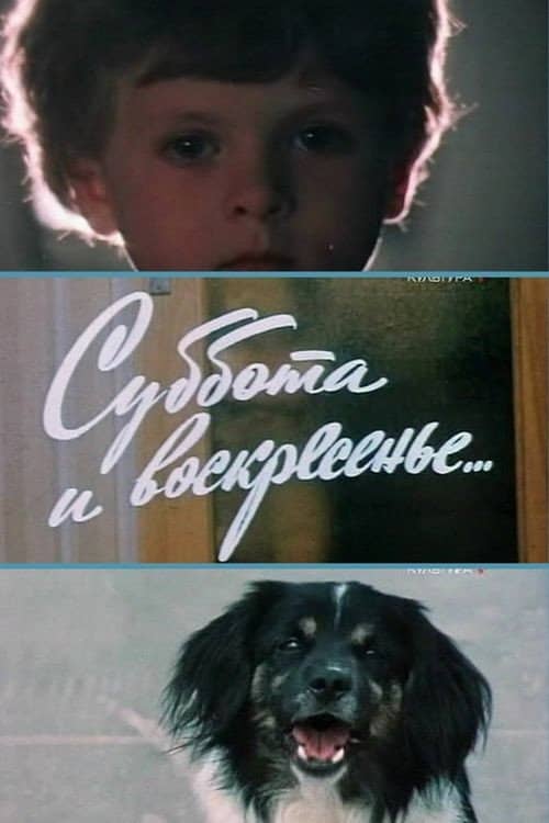 Saturday and Sunday