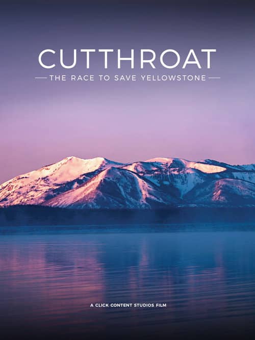 Yellowstone: A Cutthroat Business