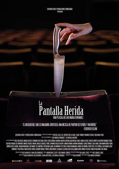 La pantalla herida