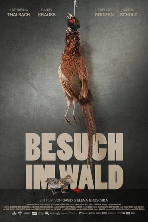 Besuch im Wald