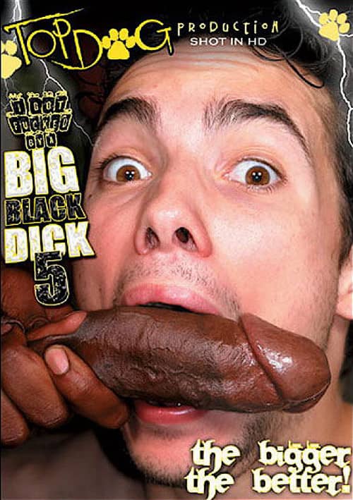 I Got Fucked by a Big Black Dick 5