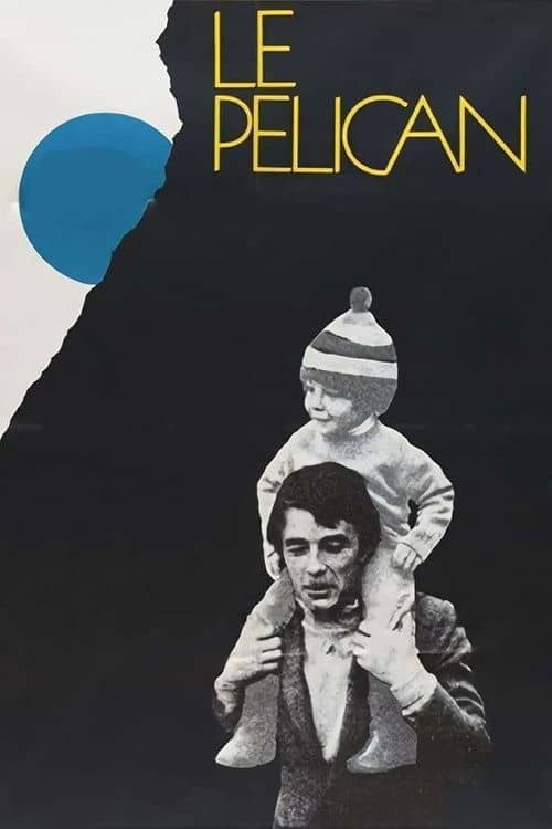 The Pelican