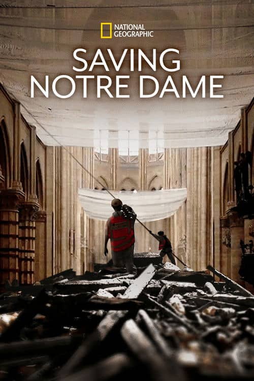 Saving Notre Dame