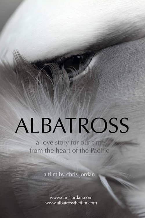 Albatross