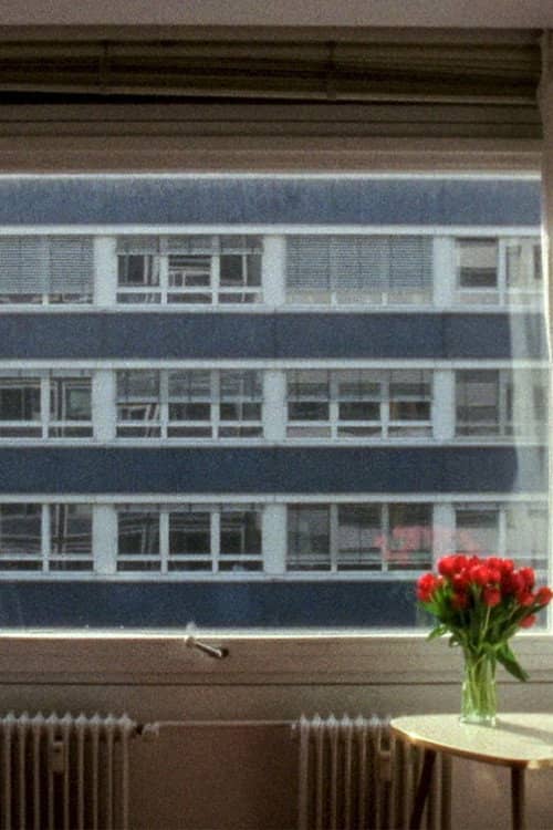 21.3 °C