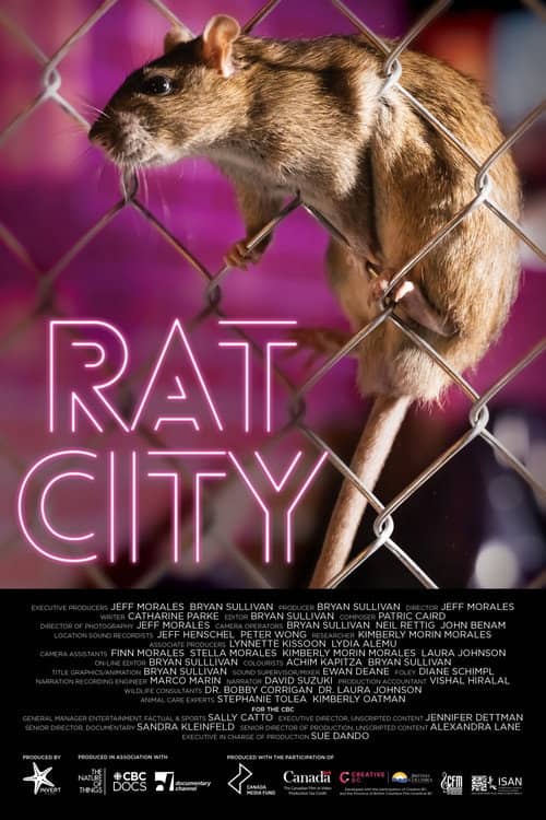 Rat City