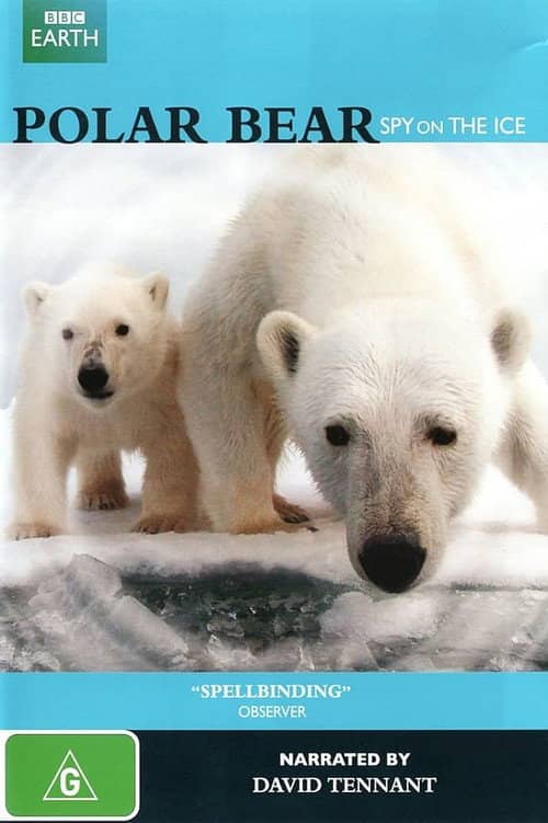 Polar Bear: Spy on the Ice