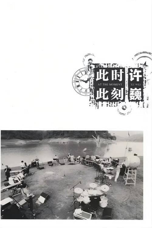 许巍：此时此刻 纪录片