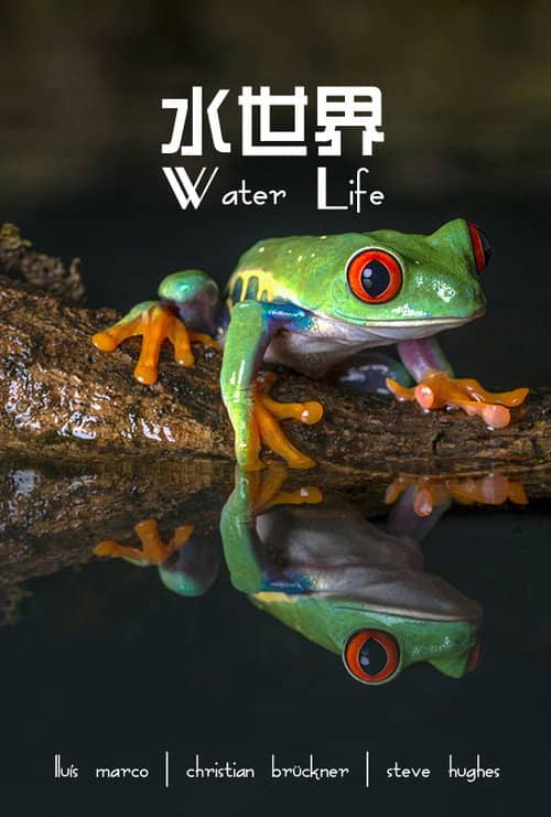 Water Life A World of Water