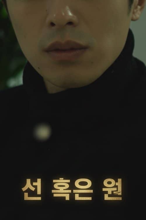 선 혹은 원