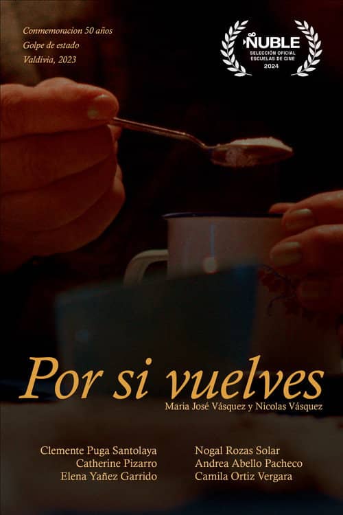 Por si vuelves...