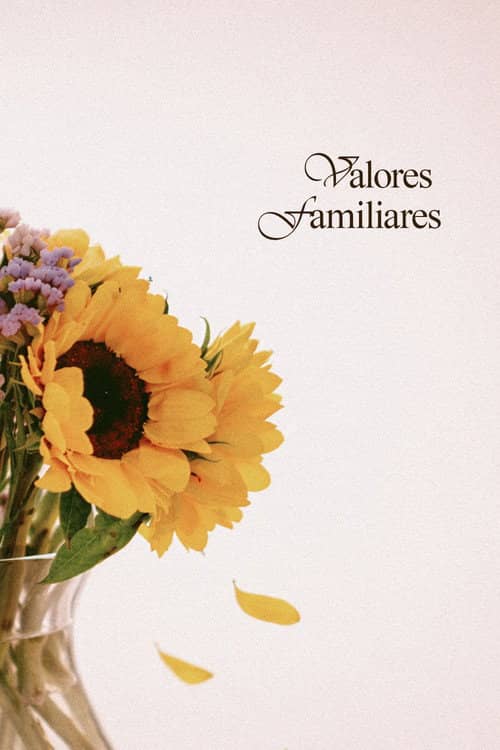 Valores Familiares