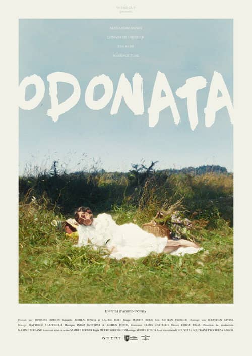 Odonata