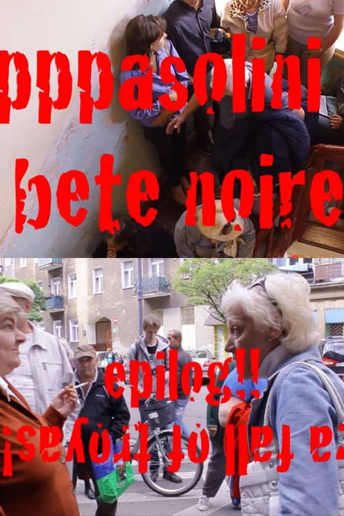 PPPasolini Epilog