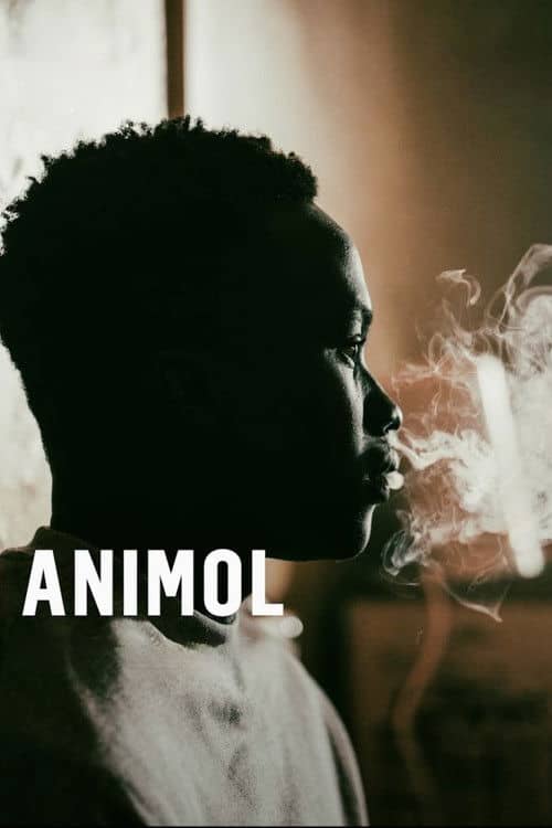 Animol