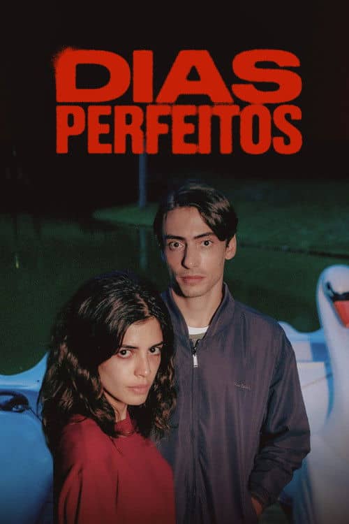 Perfect Days