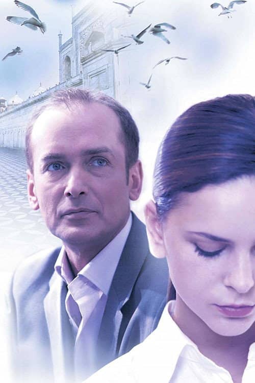 The Stepfather