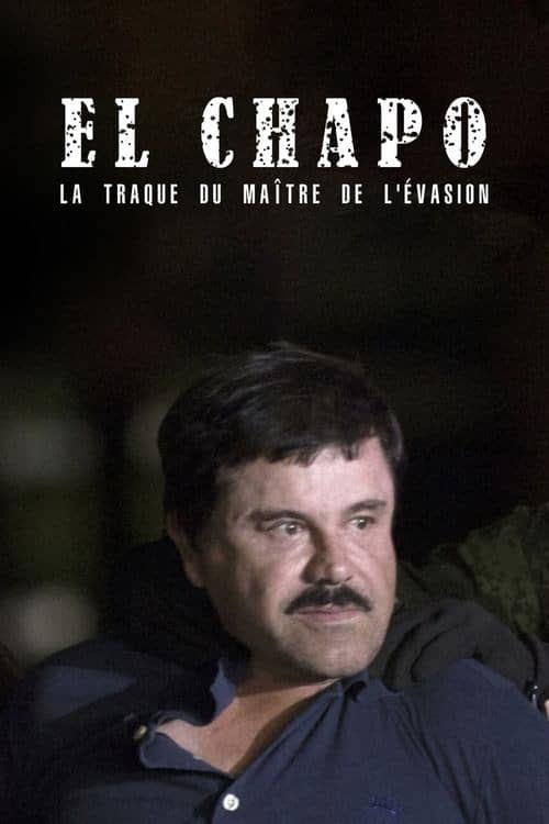 The Rise and Fall of El Chapo