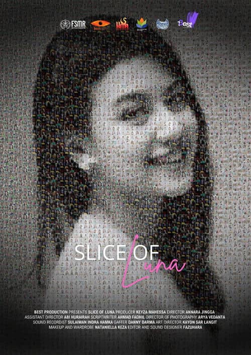 Slice of Luna