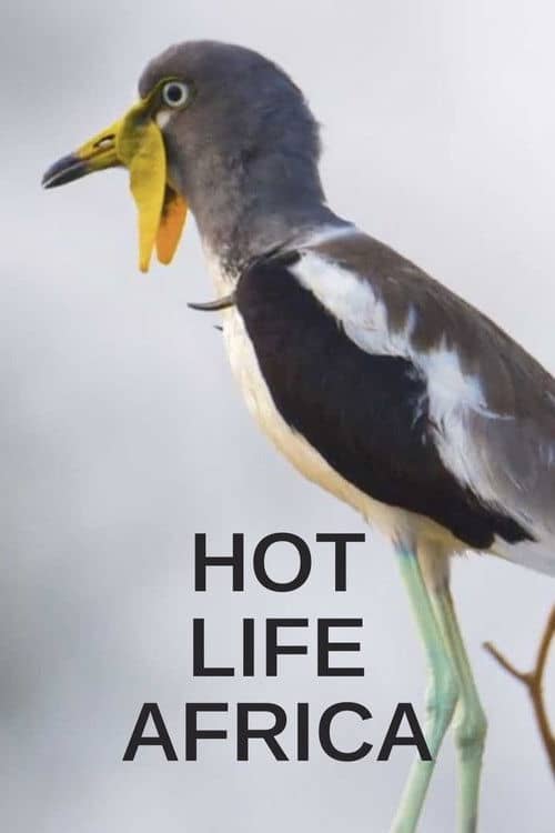 Hot Life Africa