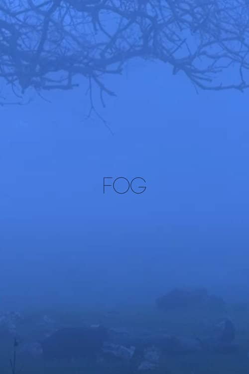 Fog