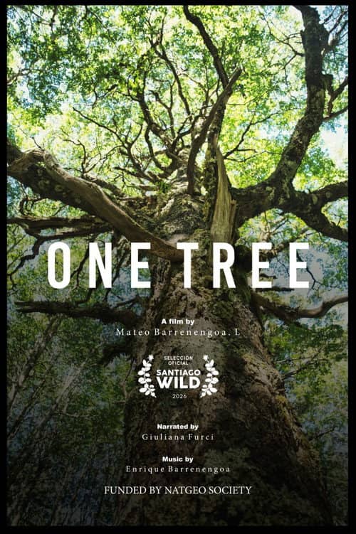 Un Árbol