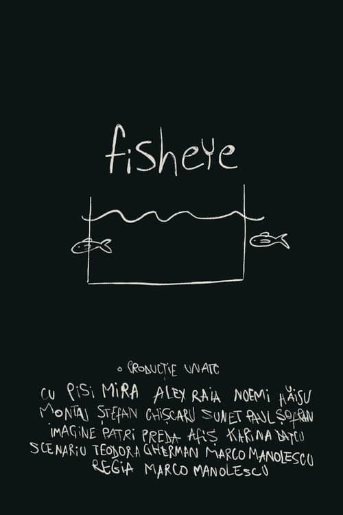fisheye
