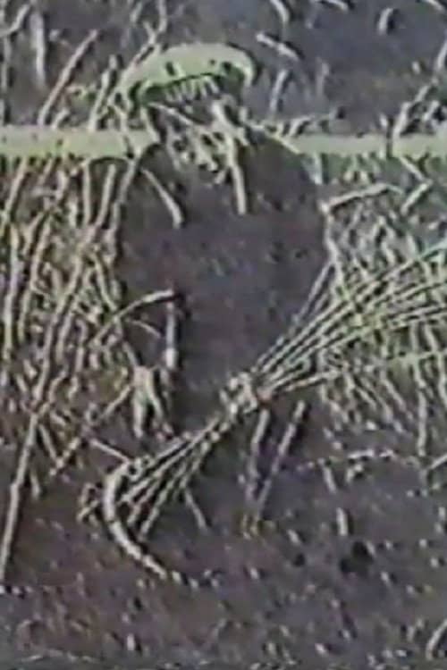 Angel of the Harvest