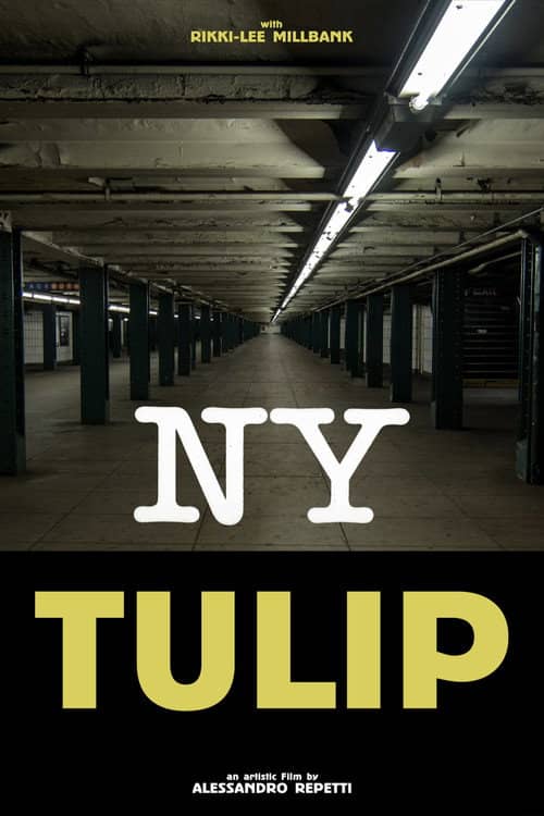 NY Tulip