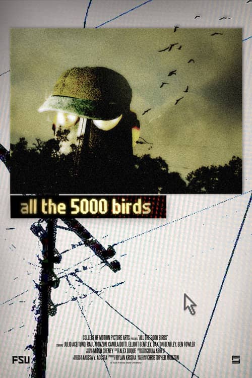 all the 5000 birds