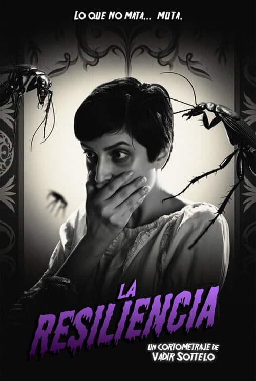 La resiliencia