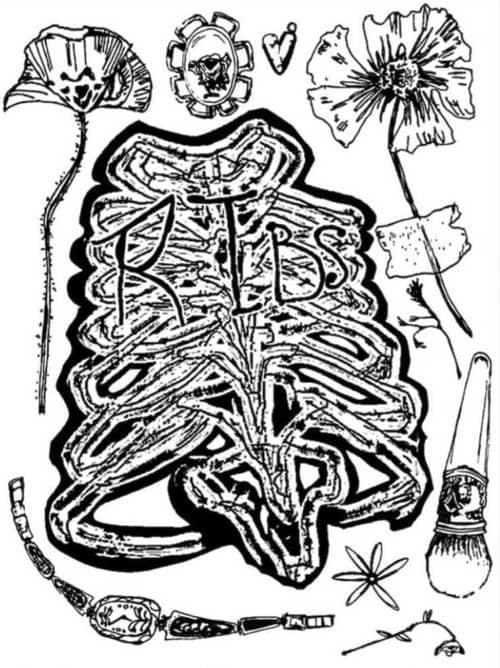 Ribs