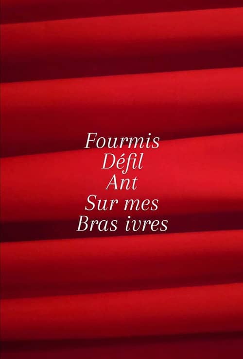 Fourmis défilant sur mes bras ivres.