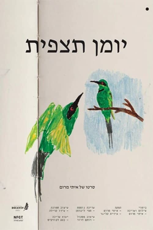 Observation Diary
