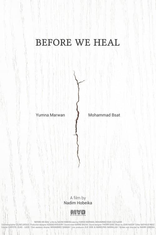 Before We Heal
