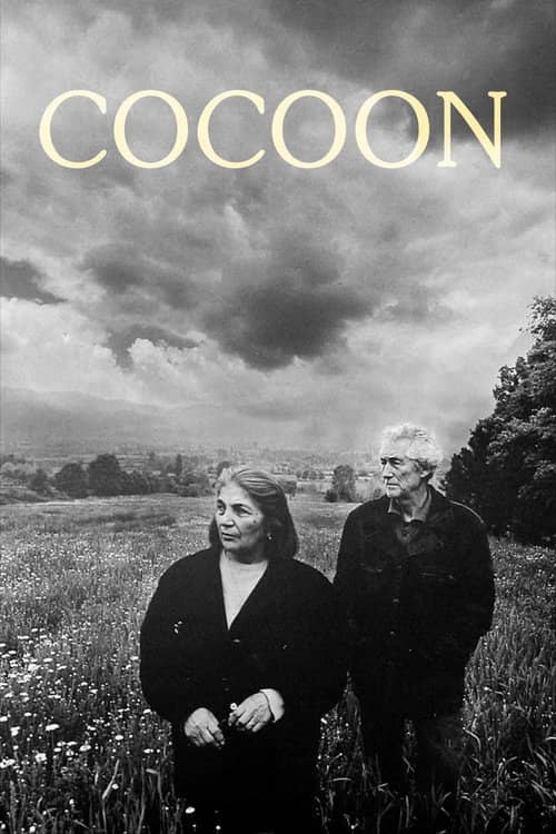 Cocoon
