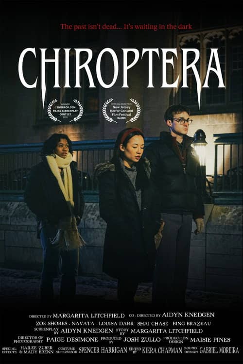 Chiroptera