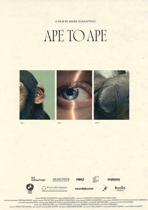 Aap tot Aap