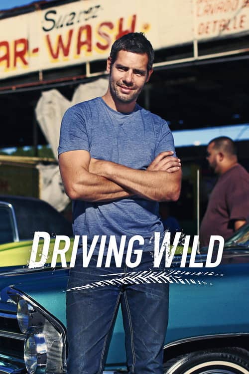 Driving Wild