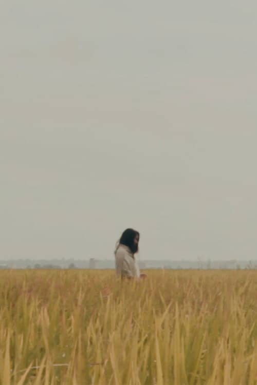 The Lost Piece