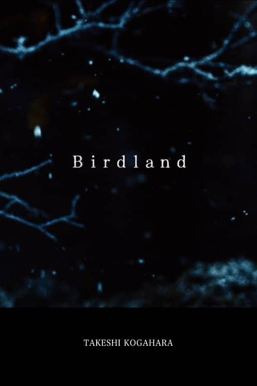 Birdland