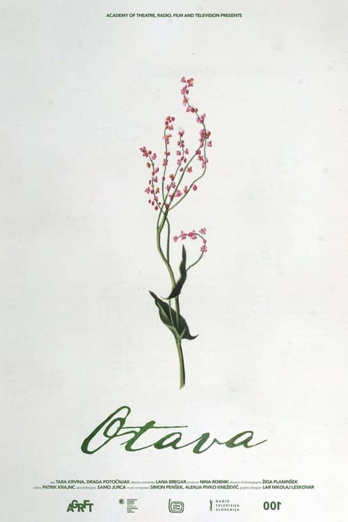 Otava