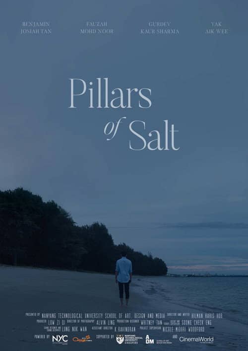 Pillars of Salt