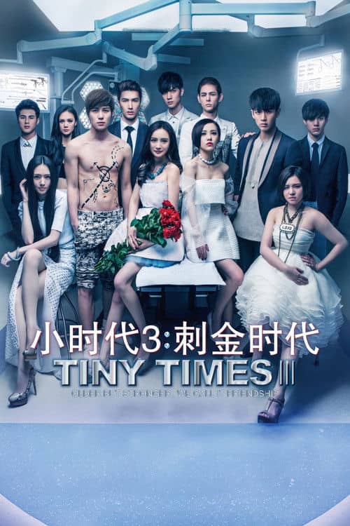 Tiny Times 3