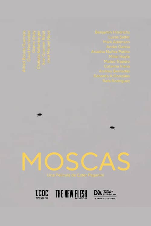 Moscas