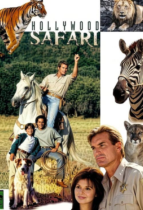 Hollywood Safari