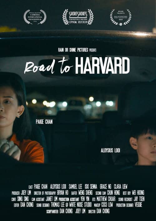 Road to Harvard