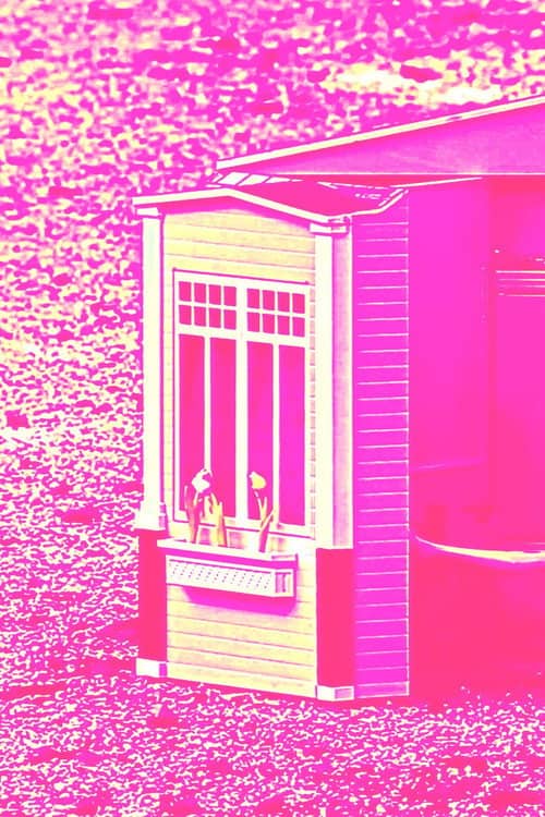 CARNE-FICCIÓN